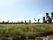 “Trùm đất” Mê Linh gặp khó