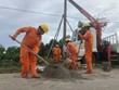 EVN khẩn trương khôi phục cấp điện sau bão số 5