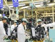 Cơ hội mới cho doanh nghiệp EU đầu tư vào Việt Nam tận dụng EVFTA