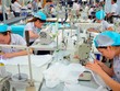 Doanh nghiệp Anh đón cơ hội từ các FTA