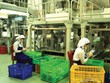 FTA không chỉ mang lại cơ hội