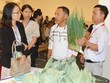 Kết nối, xúc tiến thương mại tiêu thụ nông sản an toàn thành phố Hà Nội năm 2020