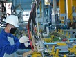 “Biến” Covid trong kịch bản kinh tế 2021