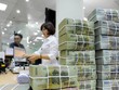 Ngành Tài chính phấn đấu hoàn thành cao nhất nhiệm vụ thu ngân sách