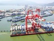 Khó khép lại thương vụ “M&A ngược” Cảng Quy Nhơn
