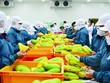 CMCN 4.0 sẽ xóa bỏ tới 1/3 số việc làm trong ngành logistics và chế biến nông sản