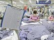 Dệt may không chê đơn hàng giá trị thấp