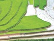ESG và đòi hỏi thích ứng với sự thay đổi