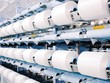 Chú trọng ESG, Sợi Thế Kỷ vững vàng cho tăng trưởng dài hạn