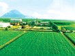 Quản trị tốt, cốt lõi cho tăng trưởng bền vững