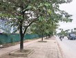 Dự án Khu giáo dục Nguyễn Trãi: Thủ tục đầu tư kéo dài gần 15 năm, bao giờ được tháo gỡ?