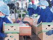 Hoàng Anh Gia Lai (HAG) đã bán hơn 72 triệu cổ phiếu HNG