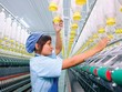 Chào 2021: Mở lối tương lai