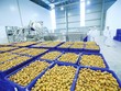Doanh nghiệp Việt Nam năm 2021: Những trải nghiệm quý báu và bài học vượt lên sau bão