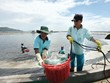 Ngành tôm trước kỳ vọng tăng trưởng 15% trong năm 2021