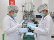 1,37 tỷ khẩu trang y tế được xuất khẩu trong năm 2020