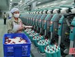 Nhà máy sợi 600 tỷ đồng chuẩn bị được đầu tư tại Hà Tĩnh