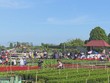 Tuần lễ Văn hóa du lịch Đồng Tháp 2021 diễn ra tại thủ phủ hoa Sa Đéc