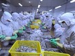 Thương mại 2 chiều Việt Nam-Canada đạt 5,1 tỷ USD trong năm 2020