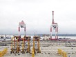 Nhà đầu tư nội lần đầu được chọn phát triển cảng nước sâu