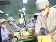 Giải F1, Covid-19 và bảo hiểm trách nhiệm