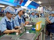 Thủ tướng yêu cầu đổi mới toàn diện quản lý nhà nước trong phát triển kinh tế tư nhân