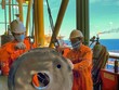 Quy chế tài chính của Tập đoàn Dầu khí Quốc gia Việt Nam (PVN) có được ban hành trong tháng 3/2021?