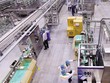 Những lĩnh vực nào của Việt Nam hấp dẫn nhà đầu tư Thụy Sỹ