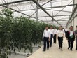 Hải Phòng: Đầu tư 436,9 tỷ đồng làm tổ hợp nông sản thực phẩm công nghệ cao