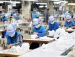 Hãy tin vào doanh nghiệp Việt Nam!