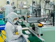 Lượng khẩu trang y tế xuất khẩu giảm mạnh