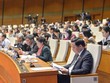 Ủy ban Tư Pháp: Một số vụ oan sai kéo dài, gây dư luận không tốt