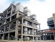 Hóa chất Đức Giang (DGC) ước lợi nhuận quý I tăng 35%, gỡ được nút thắt khan hiếm vỏ container