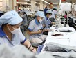 Doanh nghiệp đặt yêu cầu là phải sống, chứ không phải là may mắn sống sót