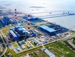 Quý I/2021, EVNGENCO1 đạt sản lượng bằng 99% kế hoạch