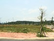 Đất nền sốt giá, doanh nghiệp có quỹ đất sạch hưởng lợi lớn