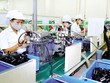 Kinh tế Việt Nam “thăng hạng”