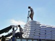 Tổ chức tham vấn công khai điều tra chống bán phá giá đường nhập từ Thái Lan