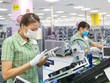 Thương mại Việt Nam - EU bật tăng 12 lần, cán mốc 50 tỷ USD
