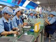 Vốn đầu tư nước ngoài vào Việt Nam đạt 12,25 tỷ USD