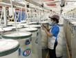Doanh nghiệp FDI xuất khẩu 2,7 tỷ USD sản phẩm xơ sợi