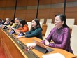 40 tỉnh, thành phố có bí thư ứng cử đại biểu Quốc hội