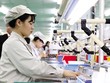 Kinh tế tiếp tục đà hồi phục