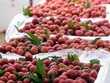 Vải thiều Việt Nam lên sàn thương mại điện tử