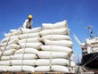 Đường nhập khẩu giá rẻ khuynh đảo thị trường, "hạ sát" đường nội