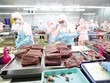 Khác biệt tinh tế giữa EVFTA và UKVFTA