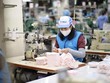 Chính sách nào cho doanh nghiệp trụ lại và vượt lên sau dịch?