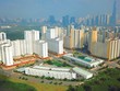 "Đoạn trường" đấu giá căn hộ tái định cư