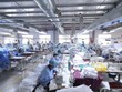 Dệt may có cơ hồi phục hồi nhờ nhu cầu gia tăng tại Mỹ, EU