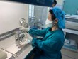 Xây dựng chính sách hỗ trợ sản xuất vaccine